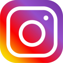 220px-Instagram-Icon